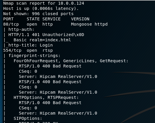 Nmap Scan 1